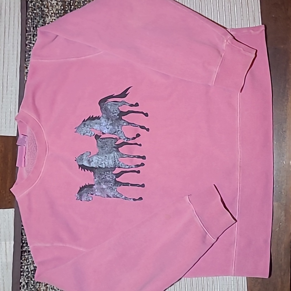 Sweatshirt with horses